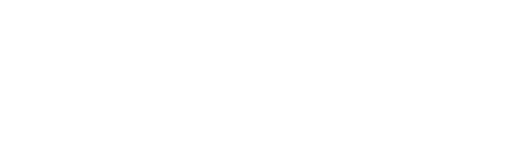 Scouting Site Logo